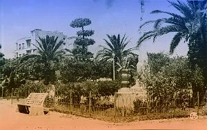 Relizane 530- Jardins de la poste  (2)